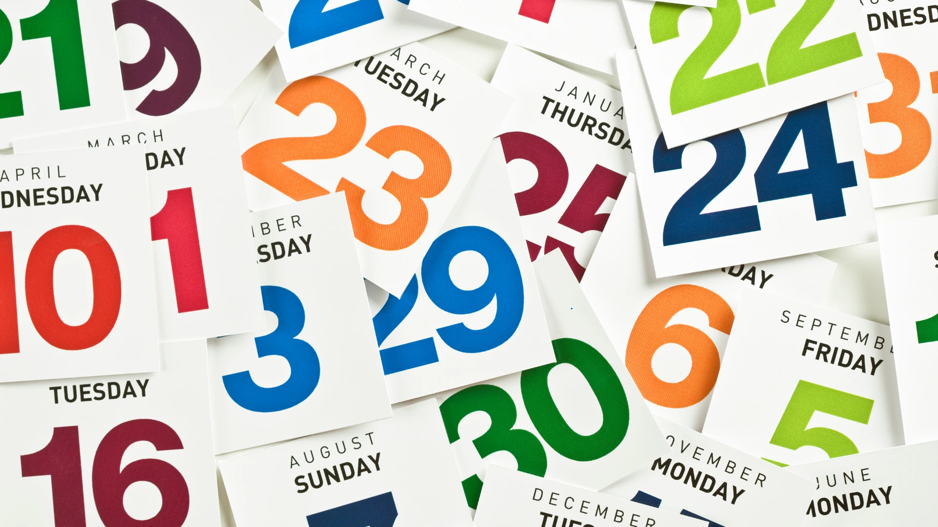 Case Study: Course, Session & Trainer Management